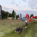(Untitled)